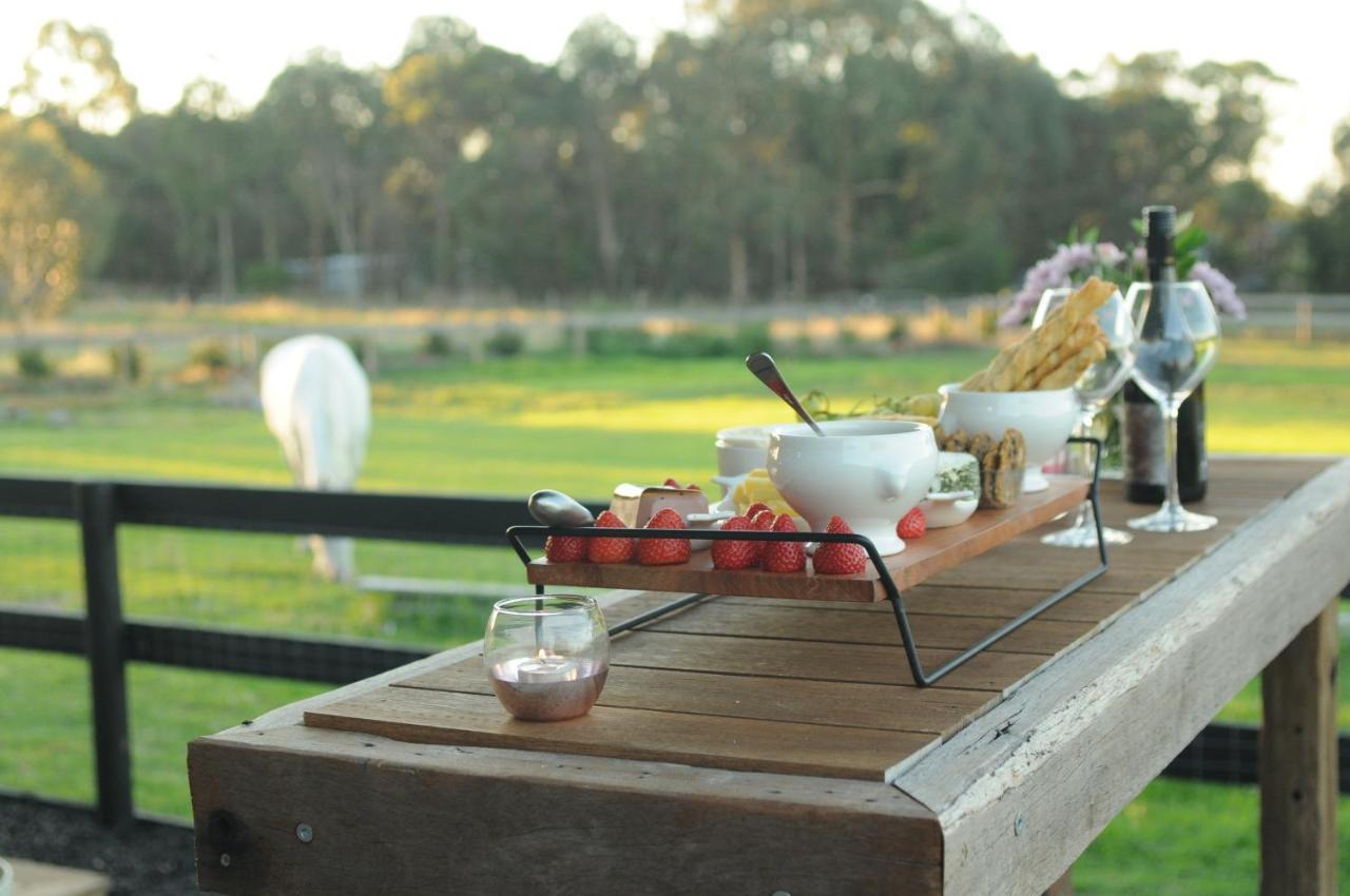 Bed and Breakfast Wagtail Nest Country Retreat - Longford Vic 3851 Sale Zewnętrze zdjęcie