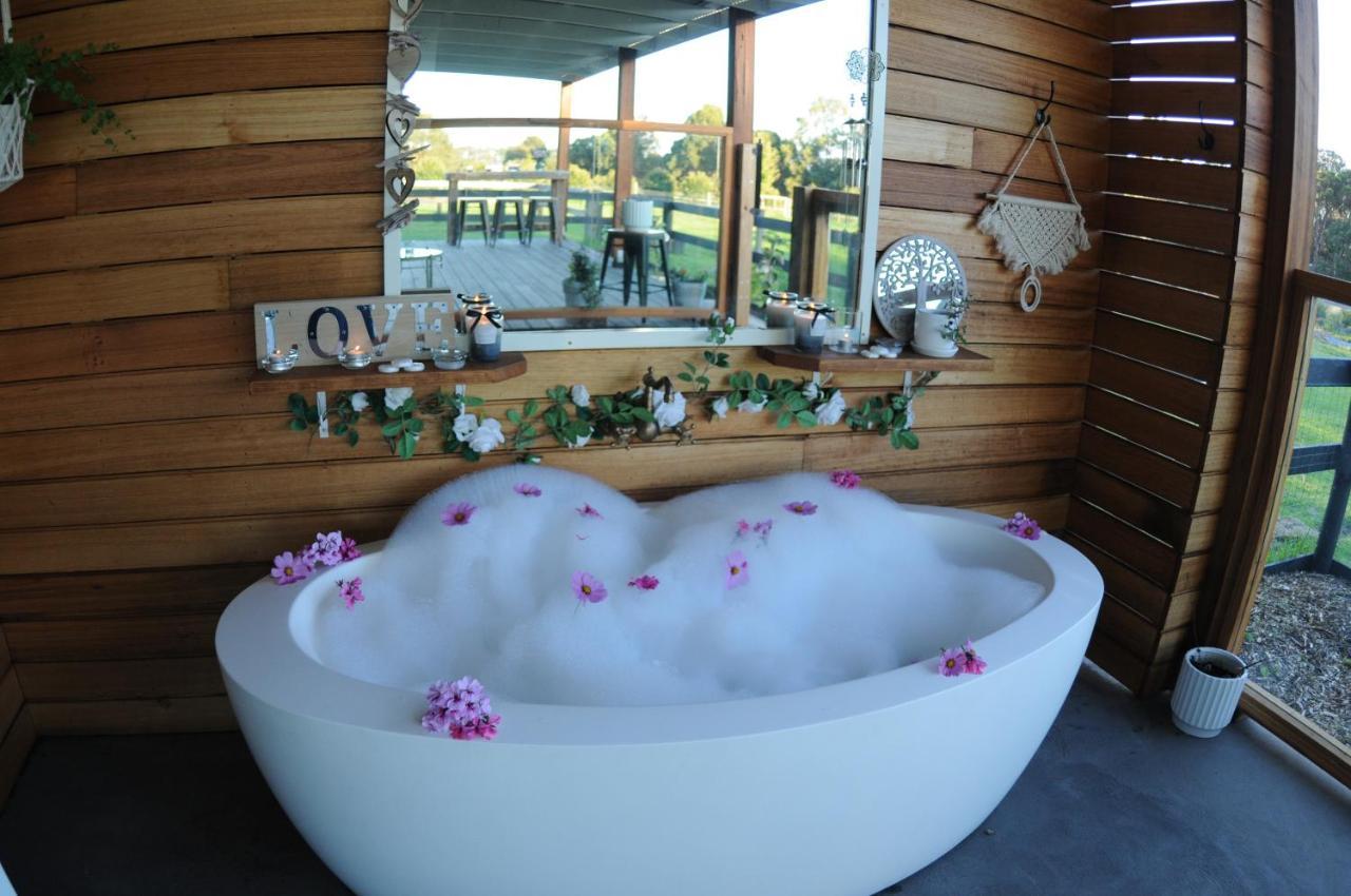 Bed and Breakfast Wagtail Nest Country Retreat - Longford Vic 3851 Sale Zewnętrze zdjęcie