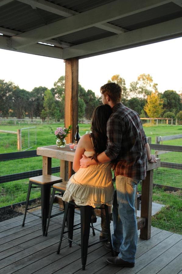 Bed and Breakfast Wagtail Nest Country Retreat - Longford Vic 3851 Sale Zewnętrze zdjęcie
